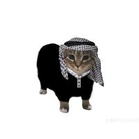 suara asli - Reyyhan