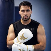 оригинальный звук