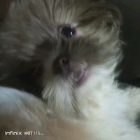brunoz._