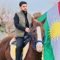 hardi_ali11