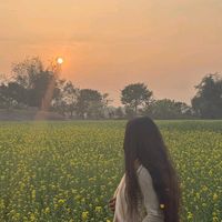 queenmunni009