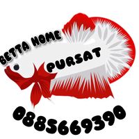 betta_home168