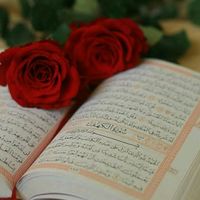 jubaeirahmed409