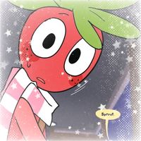 xandaokkjj