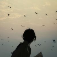 noura.9.a