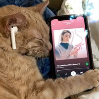 original sound - nia 𐙚