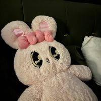 lin66669