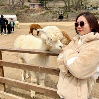 ther_nguyen_boc_food