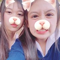 new_new633