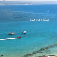 rami.amin3