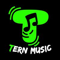 เสียงต้นฉบับ - TERN MUSIC