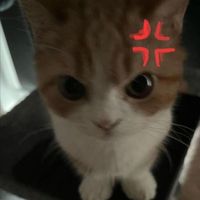 オリジナル楽曲 - えぬ