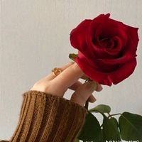 asl audio