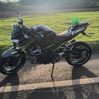 reh_z400