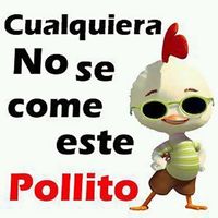 Lunes 6