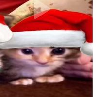 original sound - 夏