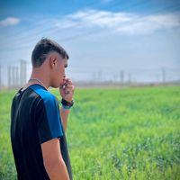 الصوت الأصلي