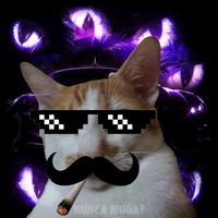 iloveorangecat0598