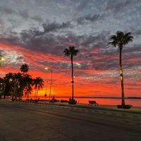 elizamc233