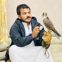 anas_ali555