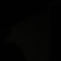 op_albert38