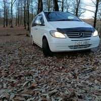 yol_adami664