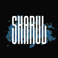 original sound - Sharul Zainal