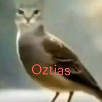 edermartinez745