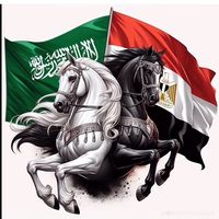 ahmedhashem38