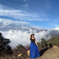 ladiescollection_officai