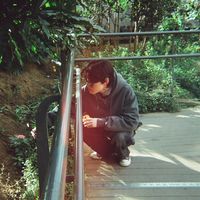 오리지널 사운드 - pancy