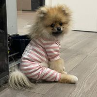 mmisyour_