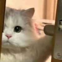 เสียงต้นฉบับ - Sun Ho__