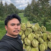denpongborisut
