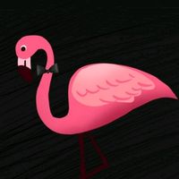 original sound - Kind Flamingo