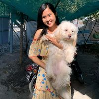 original sound - 🌻Moe Myint Hsan 🌻