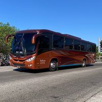 autobuses_exclusivos