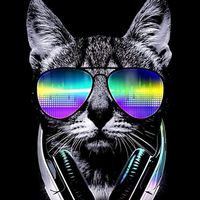 No Wan Lobi . PrizMa . Donavey . Ulriek Ft. Burzje