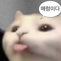 user630393207724