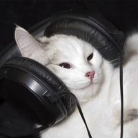 оригинальный звук