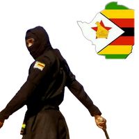zim_ninja_academy