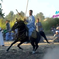 ali_abo_hamed_sh