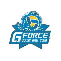 gforcevb