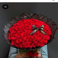 lolo_2604