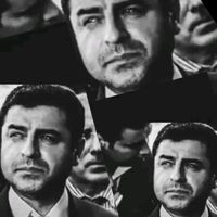 orijinal ses