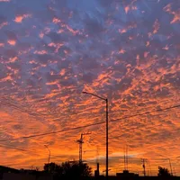 original sound - solossolounmomento