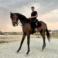 salihsahin_01