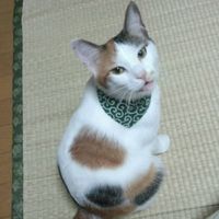 ひこうき雲 荒井由実
