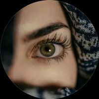 n_almalki711