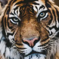 original sound - kingofbeats24